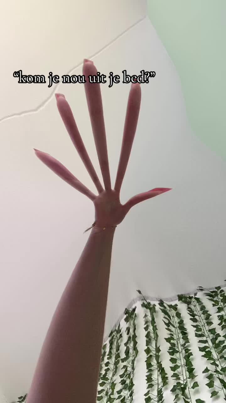 @fauvelenaers