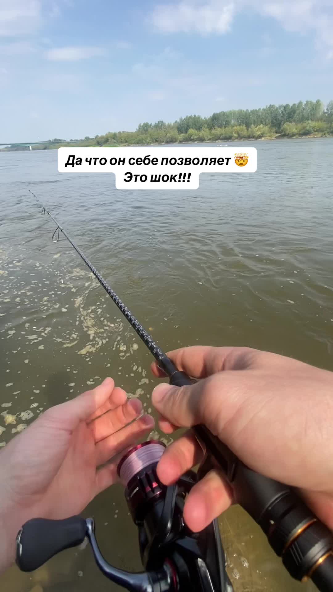@Ace.fishing
