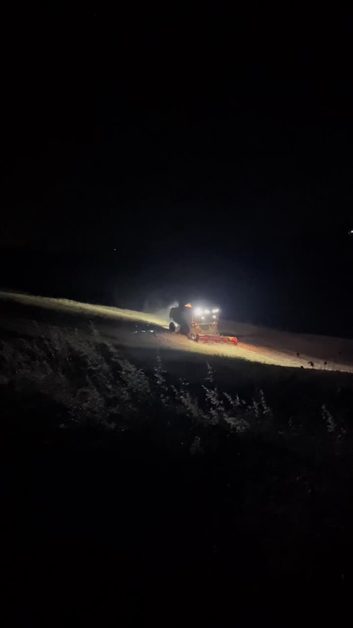 @DV.farm96