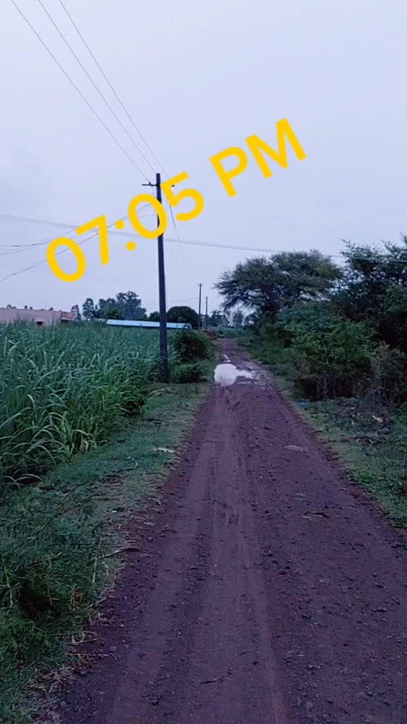 @ವಿಷ್ಣು ದಾದಾ