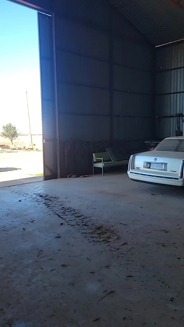 @gotitrollin