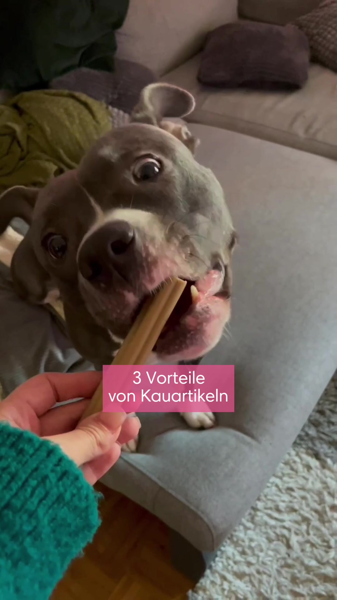 @diefutterbar
