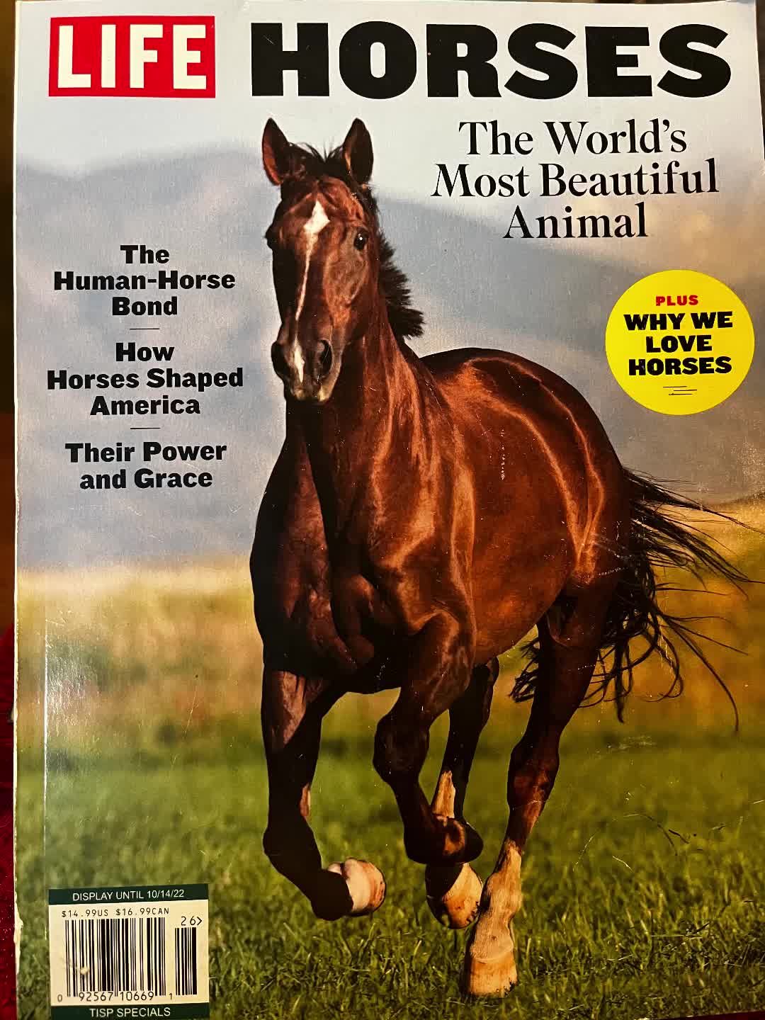 @CowboyBob_Horsemanship