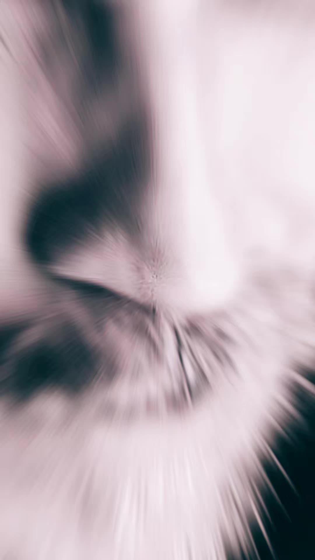 @𝕯𝖆𝖓𝖎𝖊𝖑𝖊