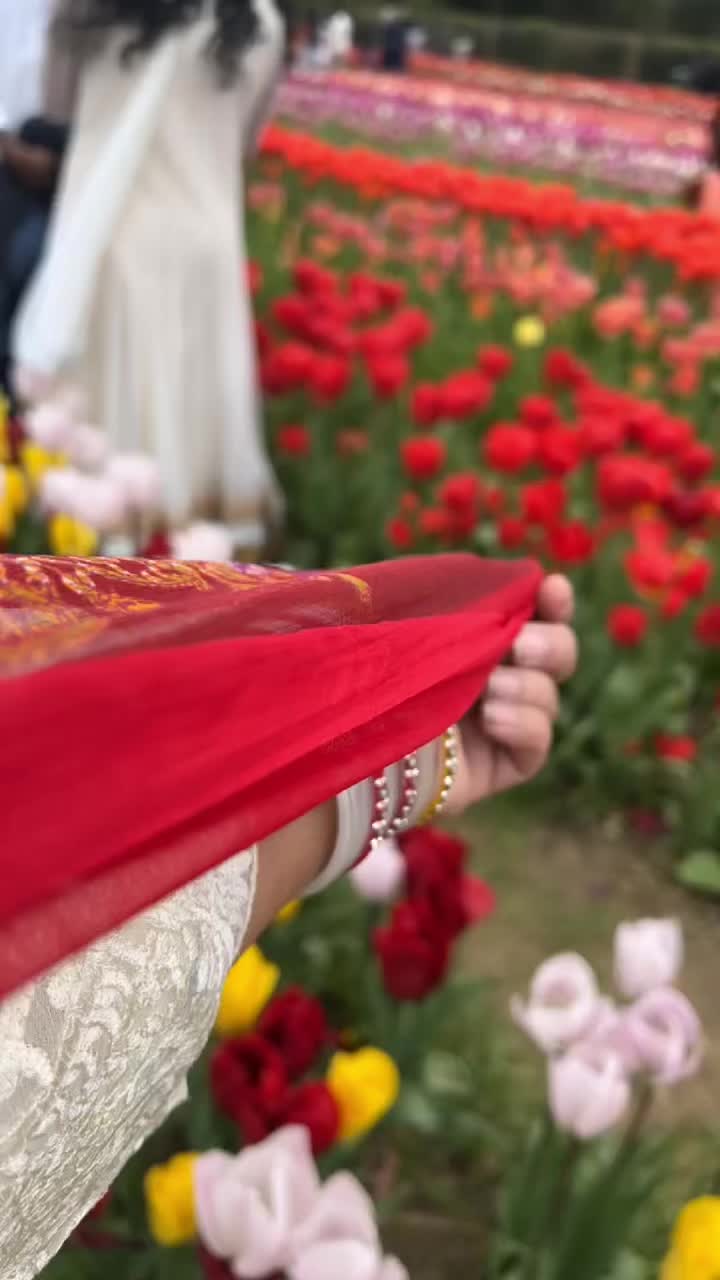 @@official_gulapi10&hearts;️🕊️
