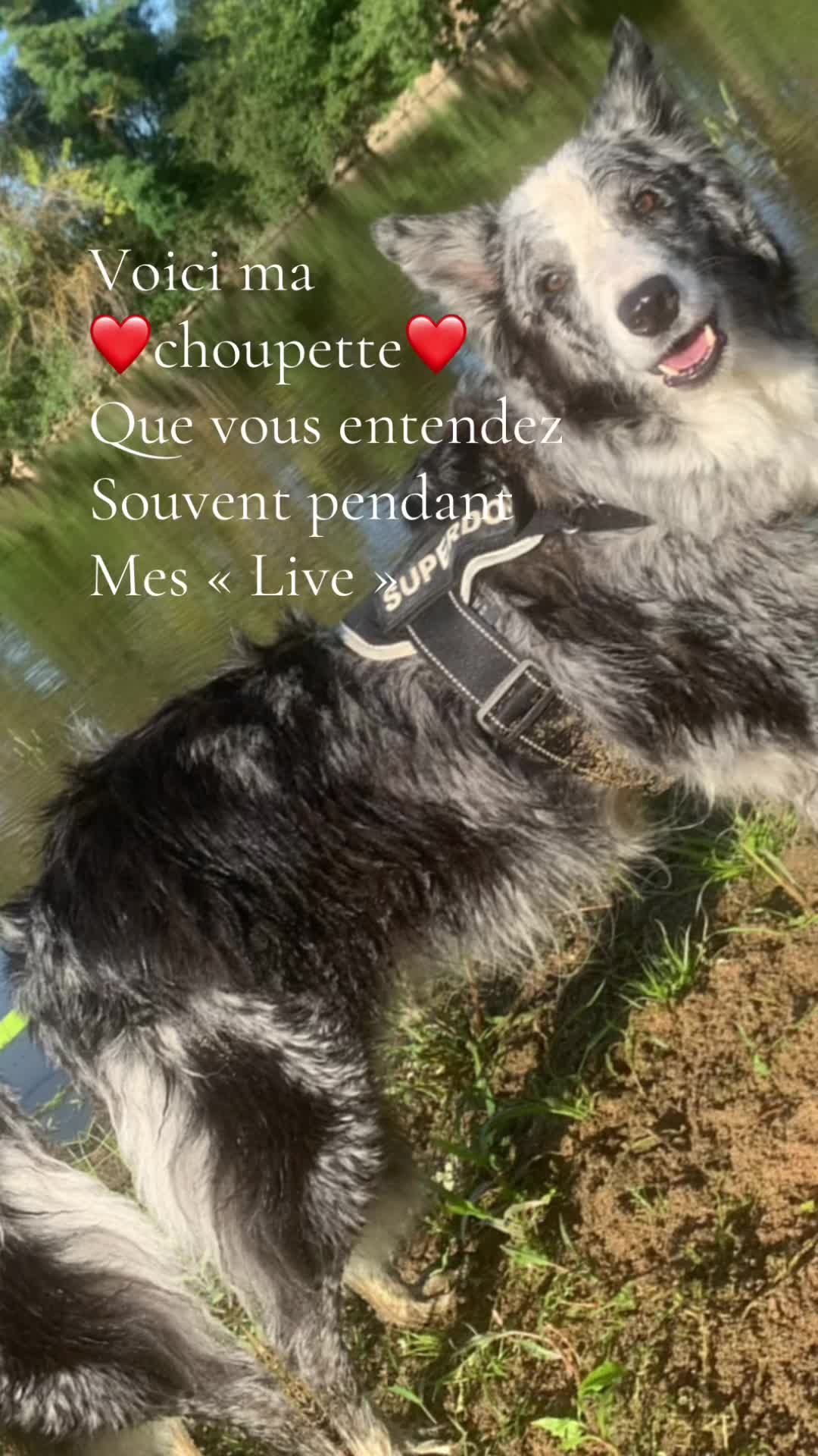 @liberti10_lilou