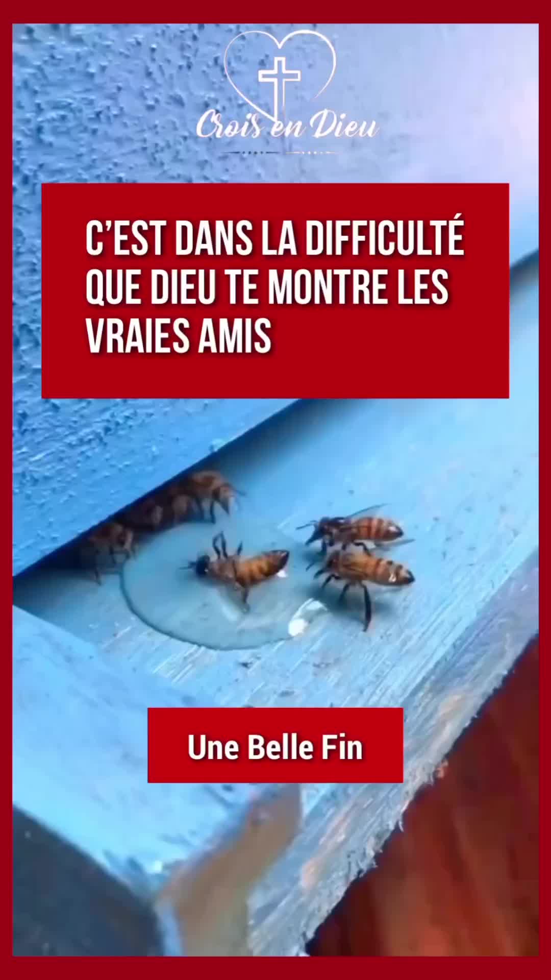 @LeSourireDeNella
