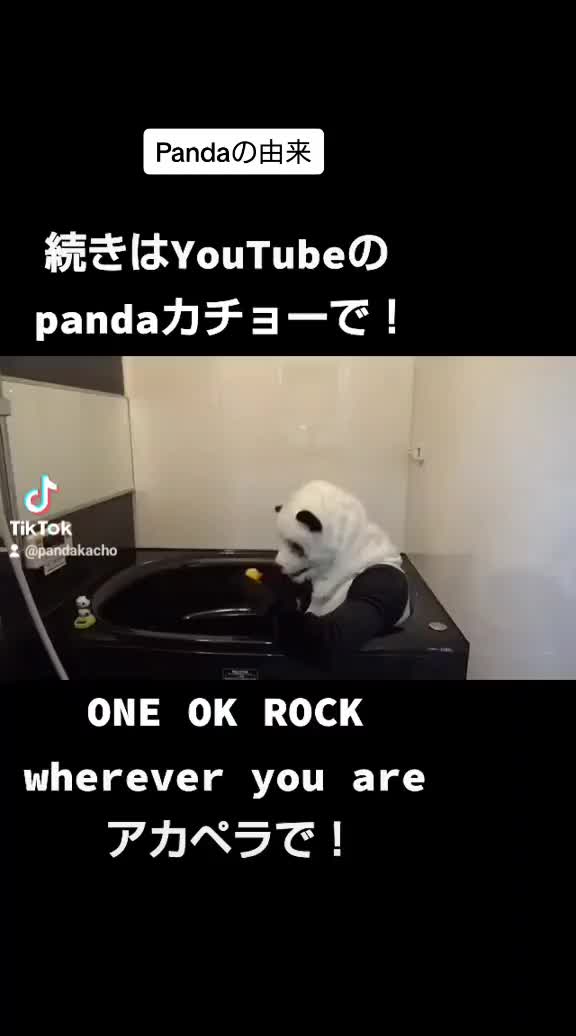 @🐼panda カチョー🐼