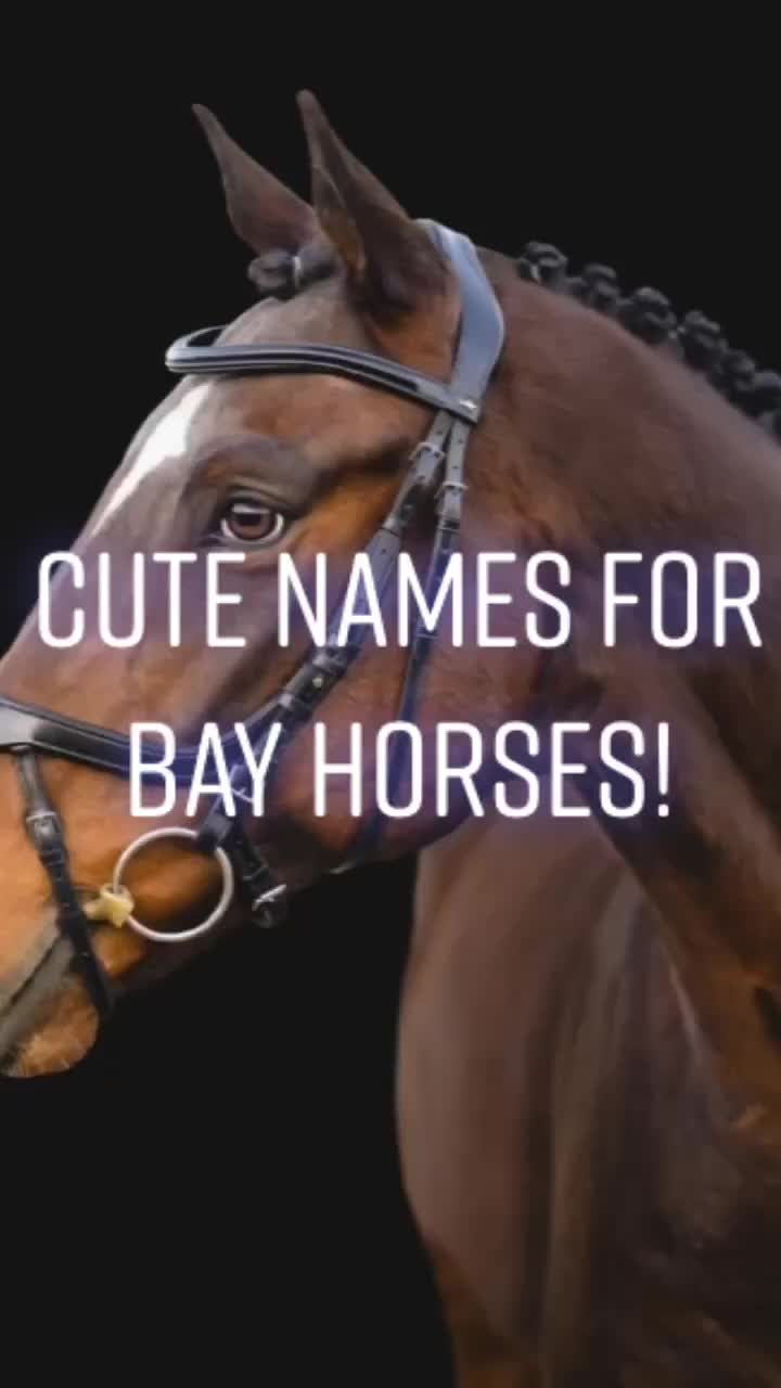 @Horse Editz!