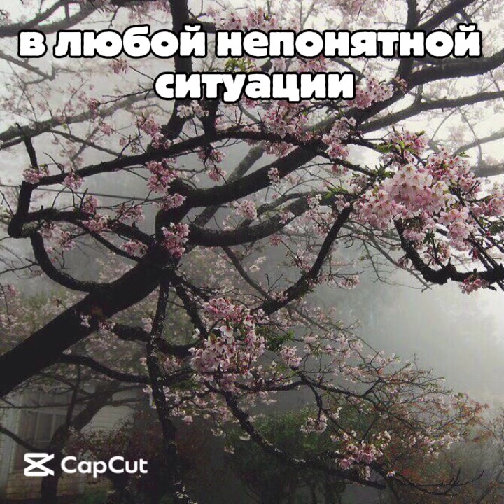 @•Я люблю Алю•