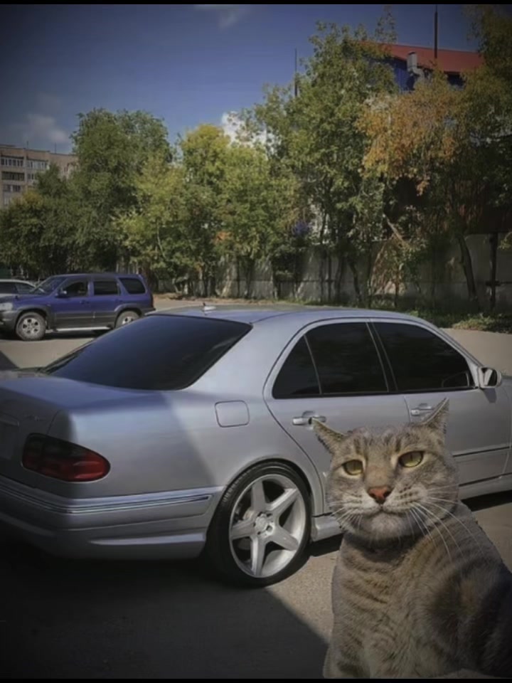 @Ветеринар Байэл