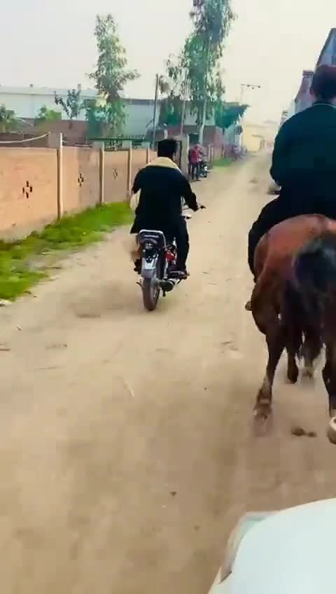 @umairjut554