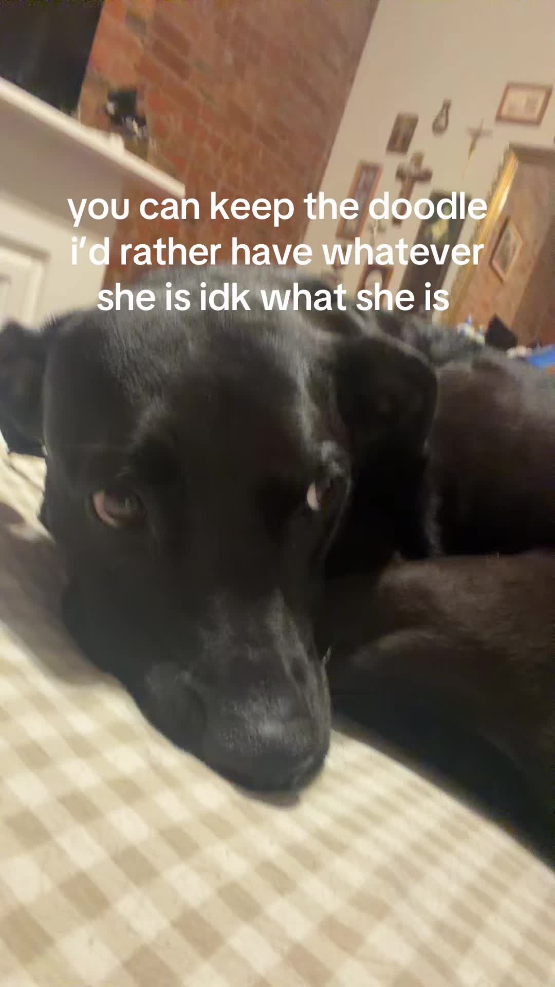 @Taylorrose