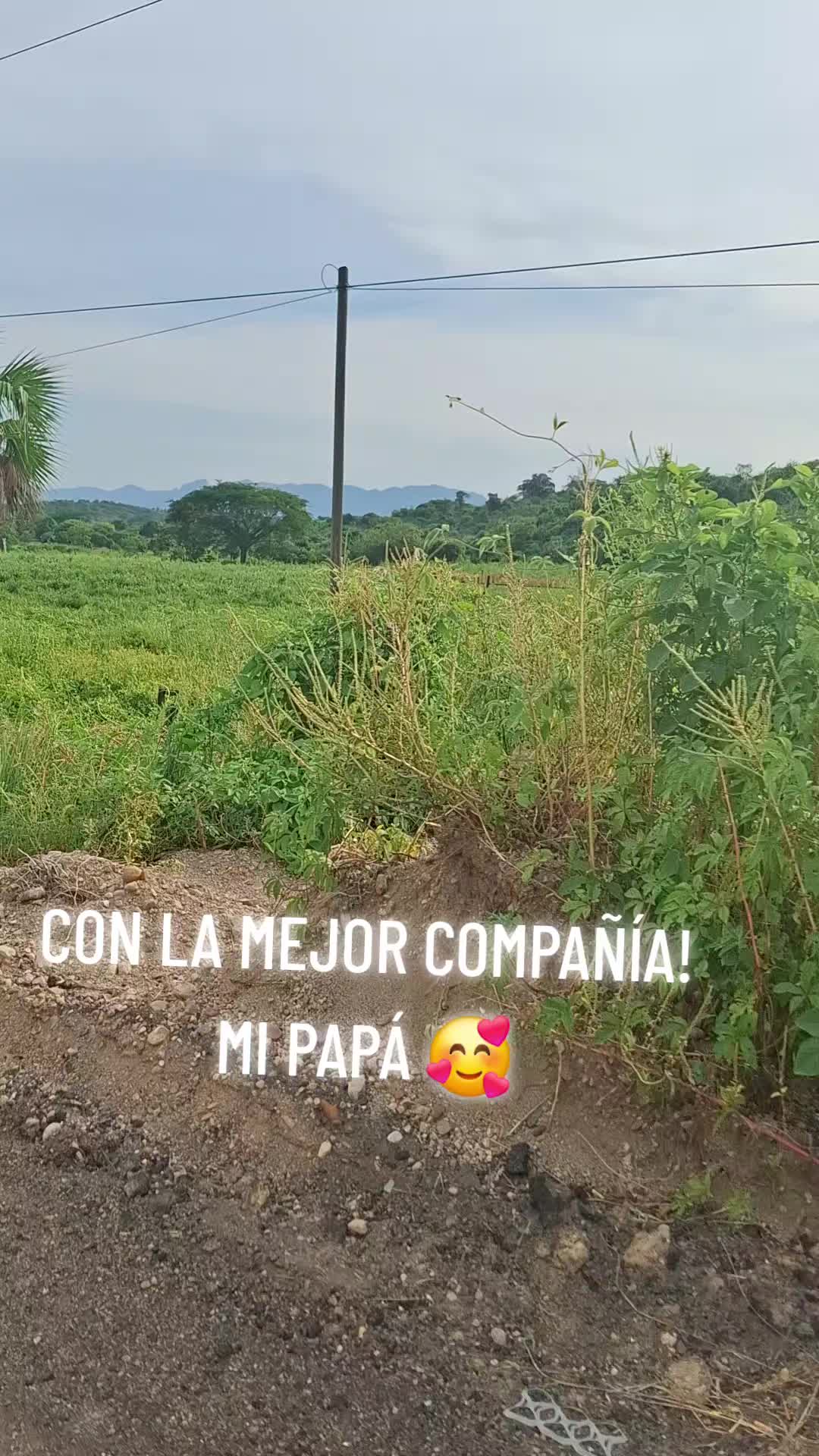 @VERONICA MONTAÑO