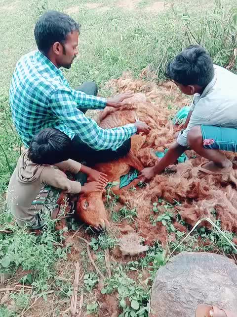 @Shivaraj Uradi