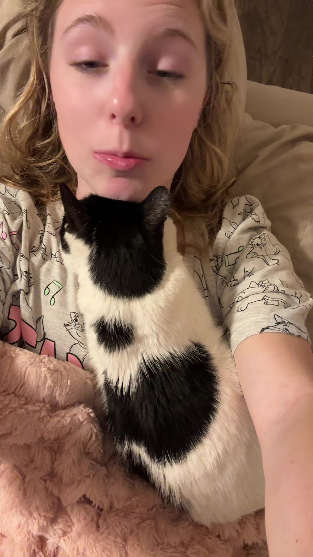 @Petal the kitty