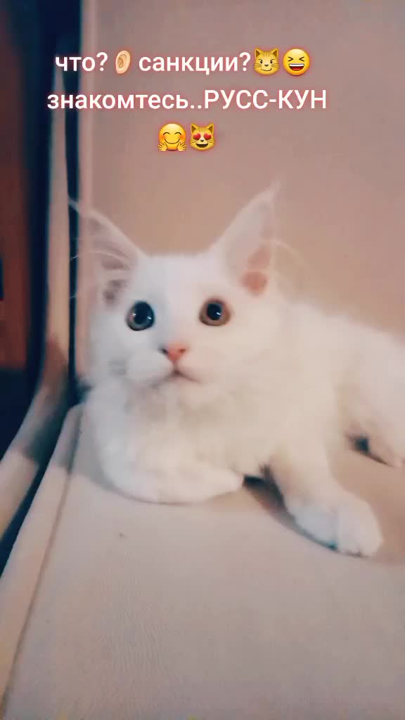 @Сашуля Милашка