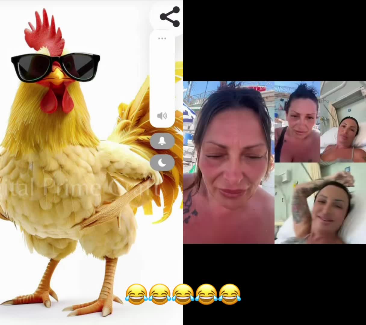 @idaortese267