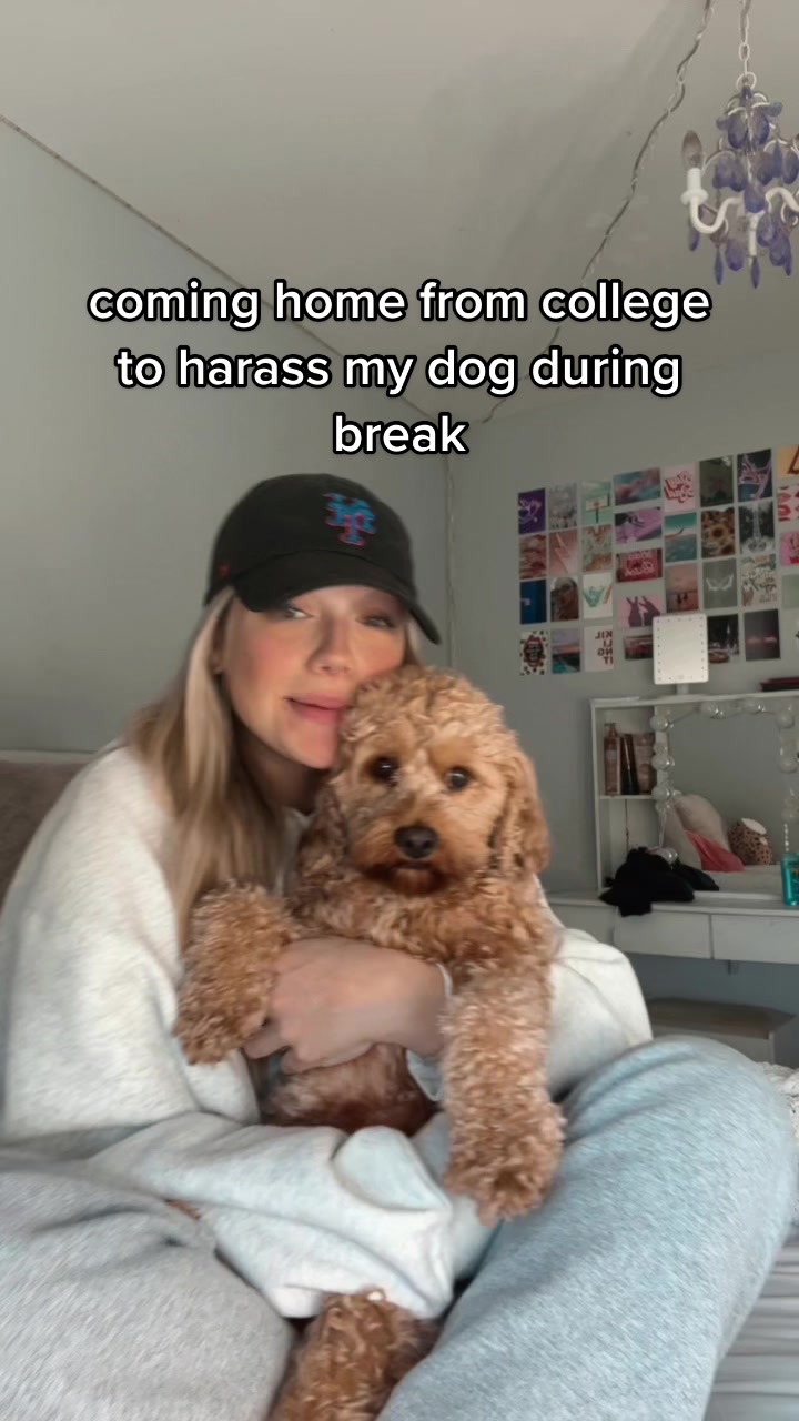 @paige