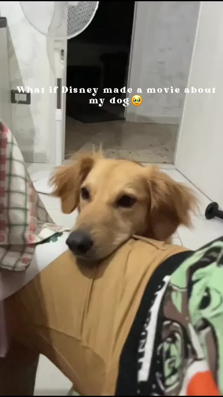@Soyaa