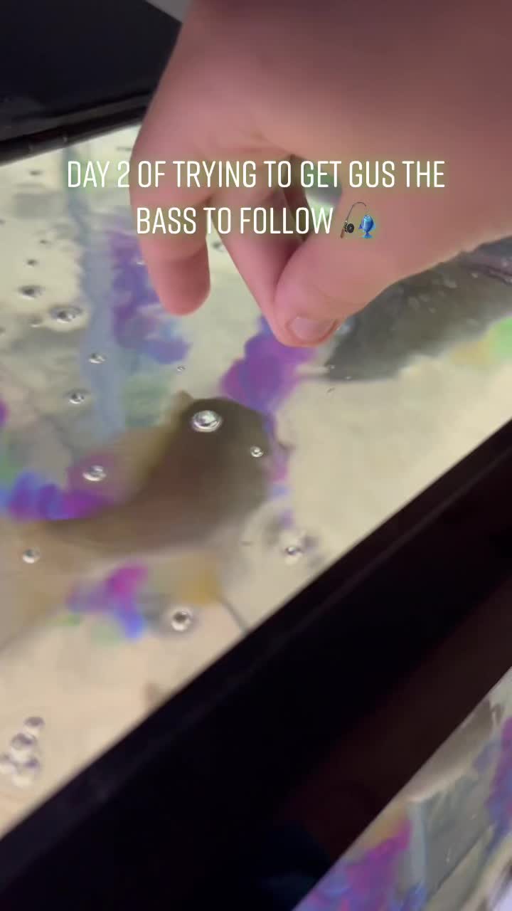 @Grub_the_bass
