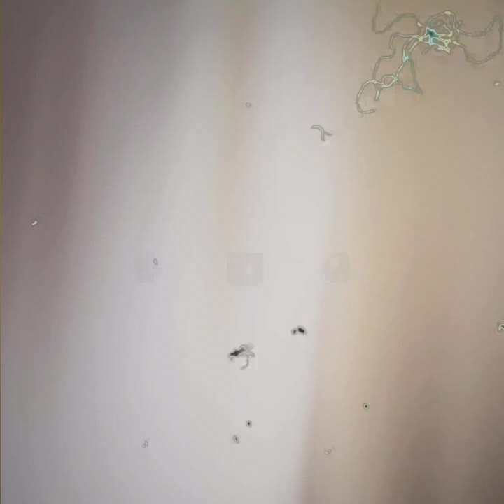 @☆