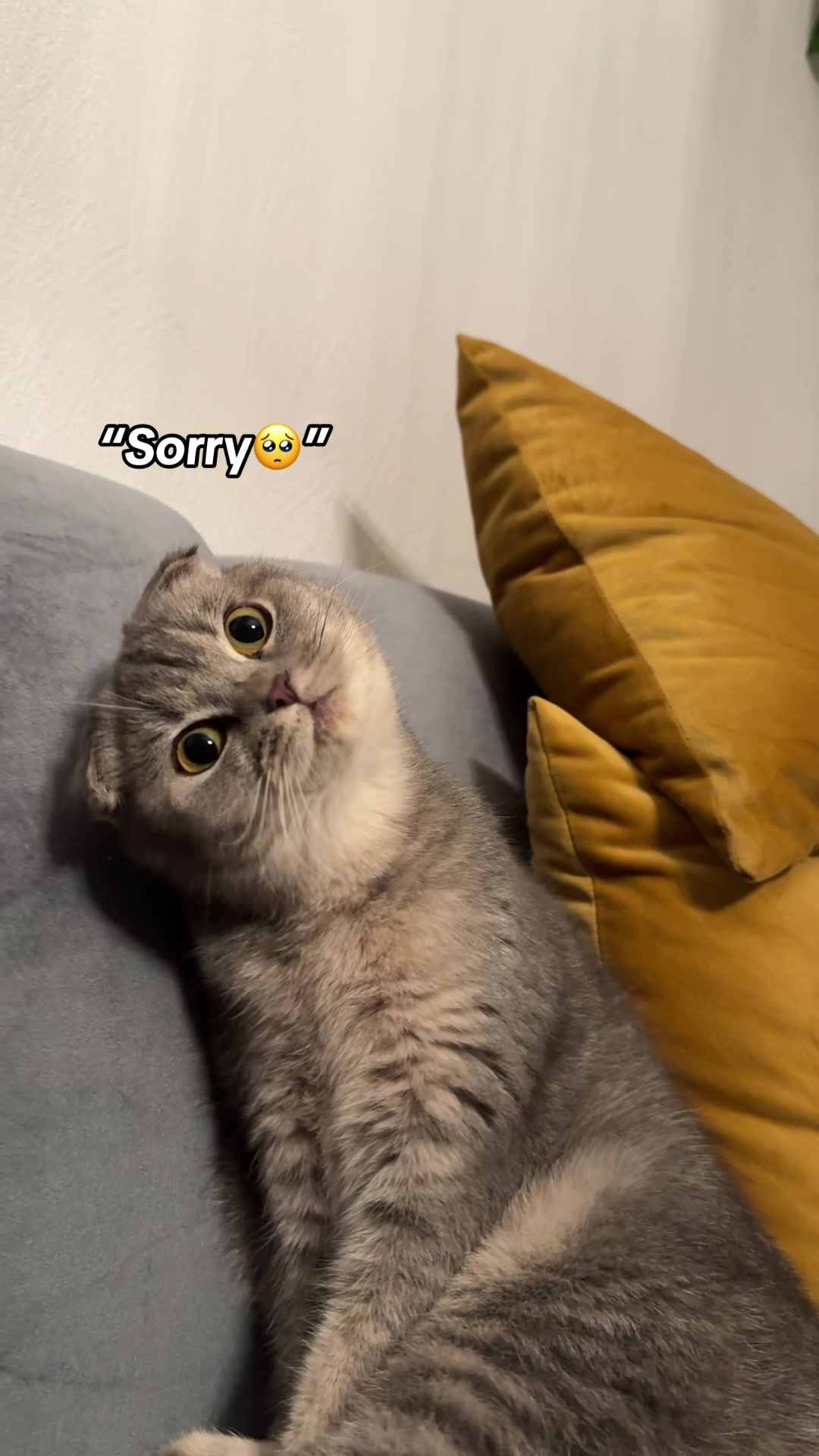 @CH•_•MS_73⭐️