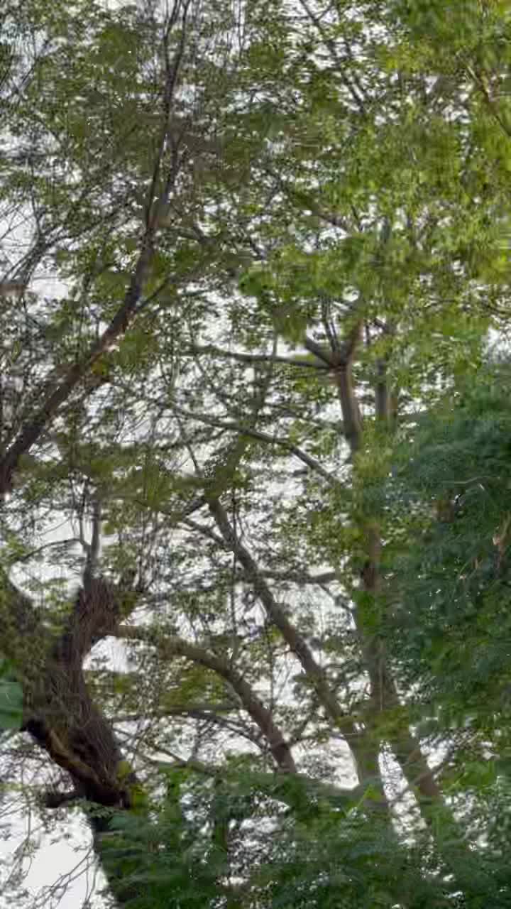 @M.HaSSaN 🇵🇰