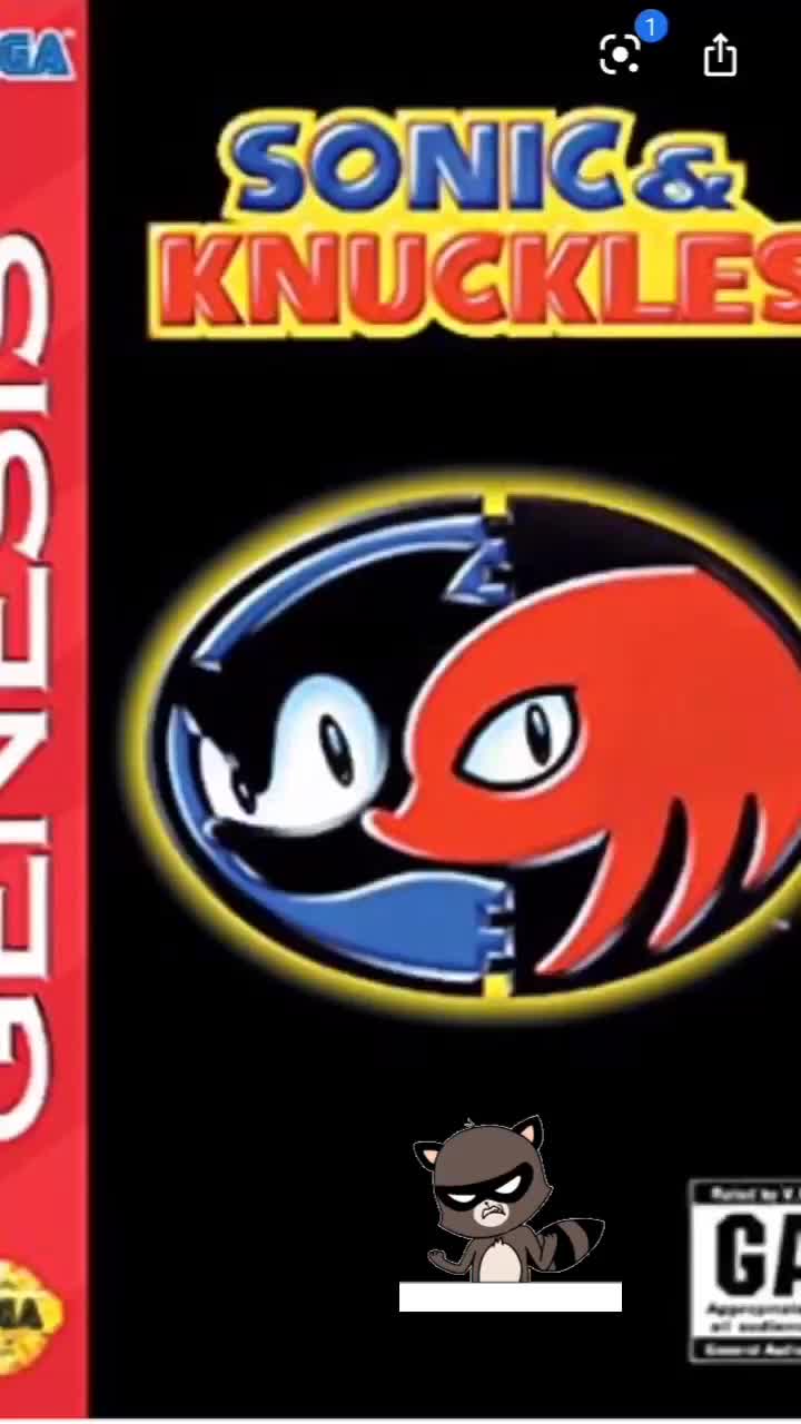 @Sonic the hedgehog