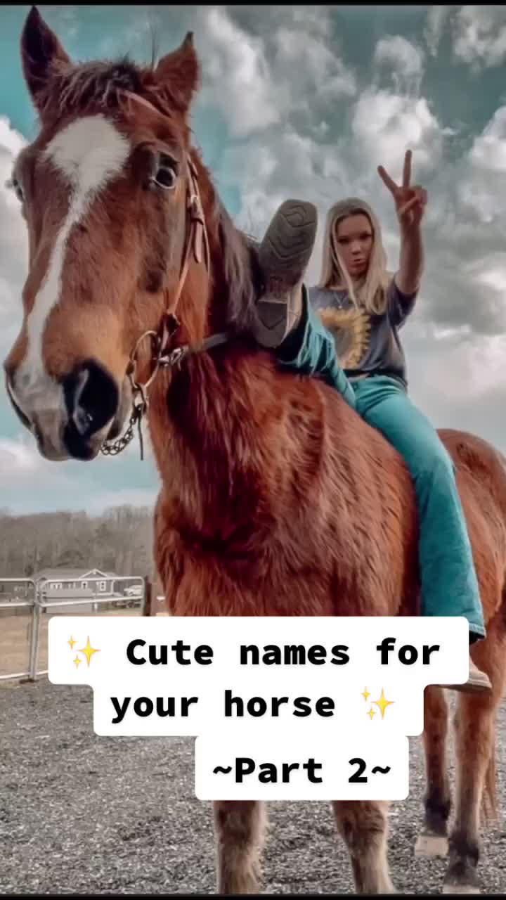 @KYLA 🐎🛢
