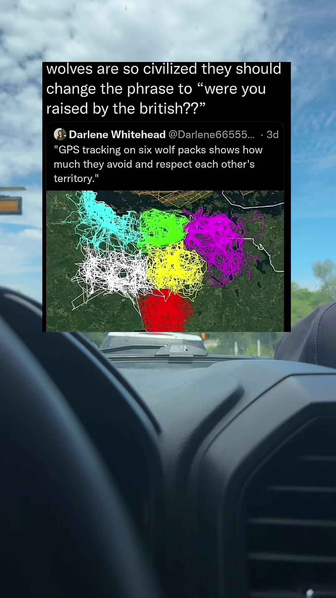 @memessfn