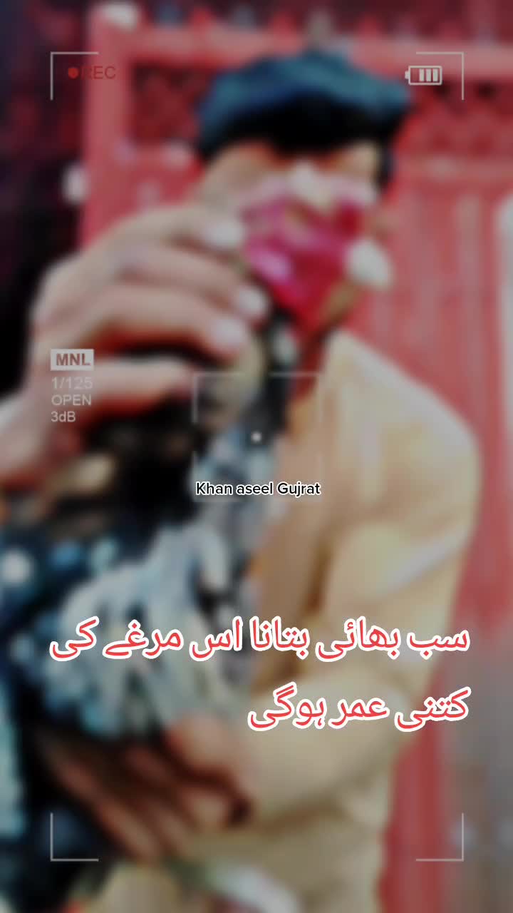 @khan aseel