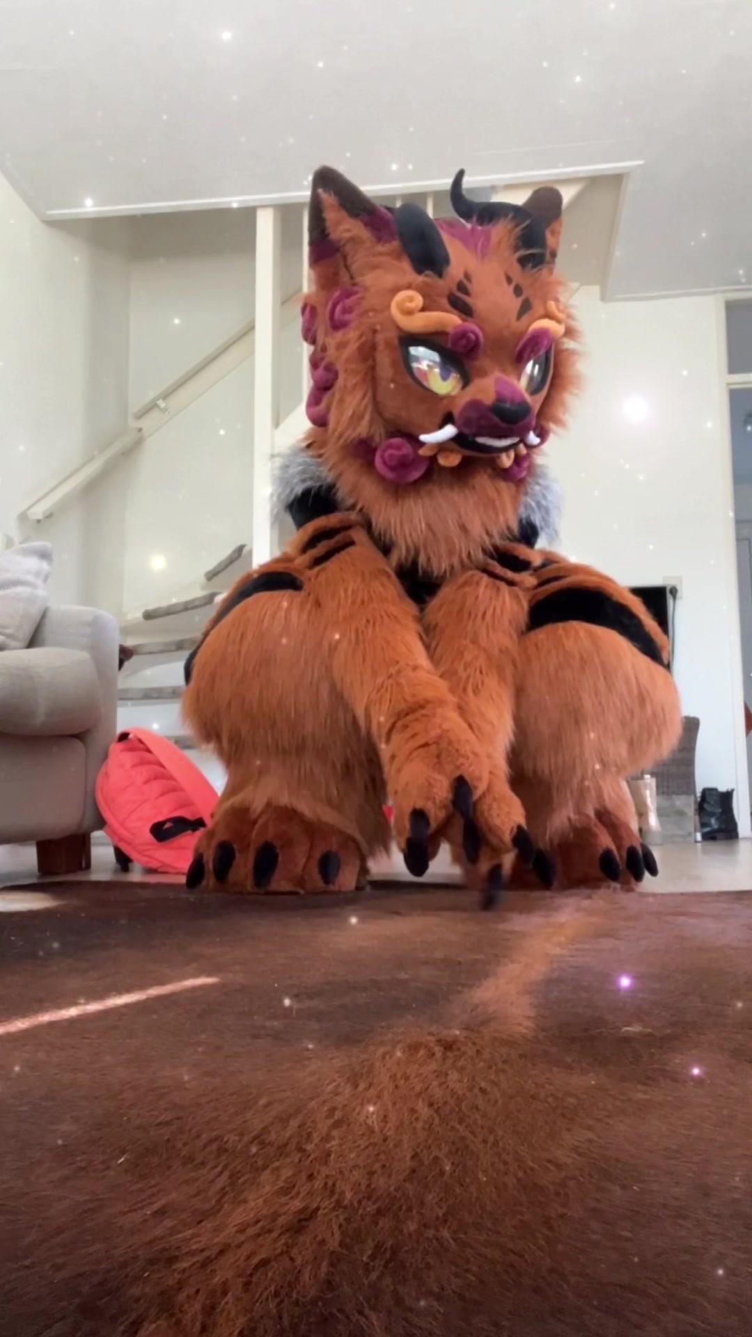 @Shangfudog