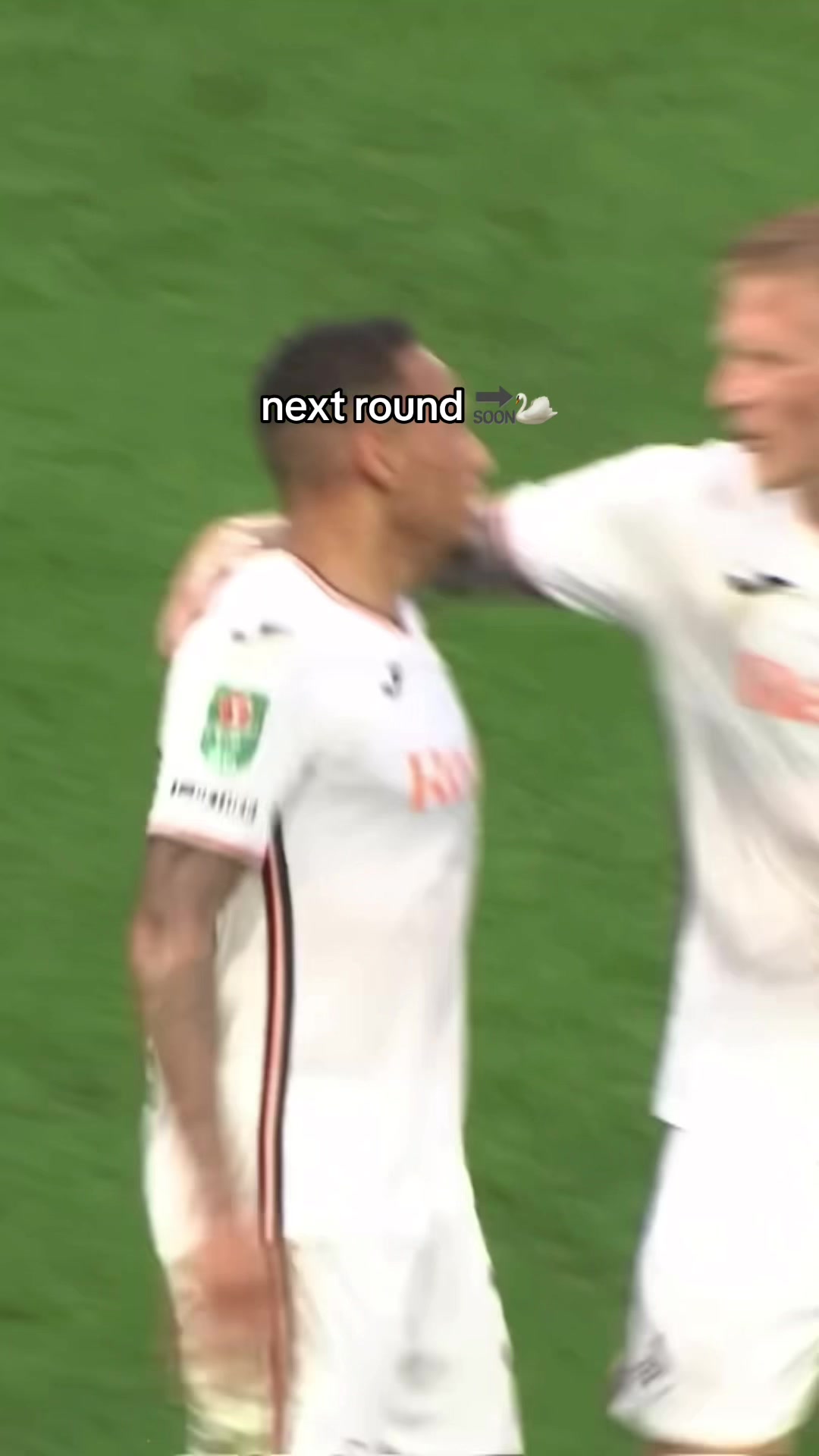 @Swansea City AFC 🦢