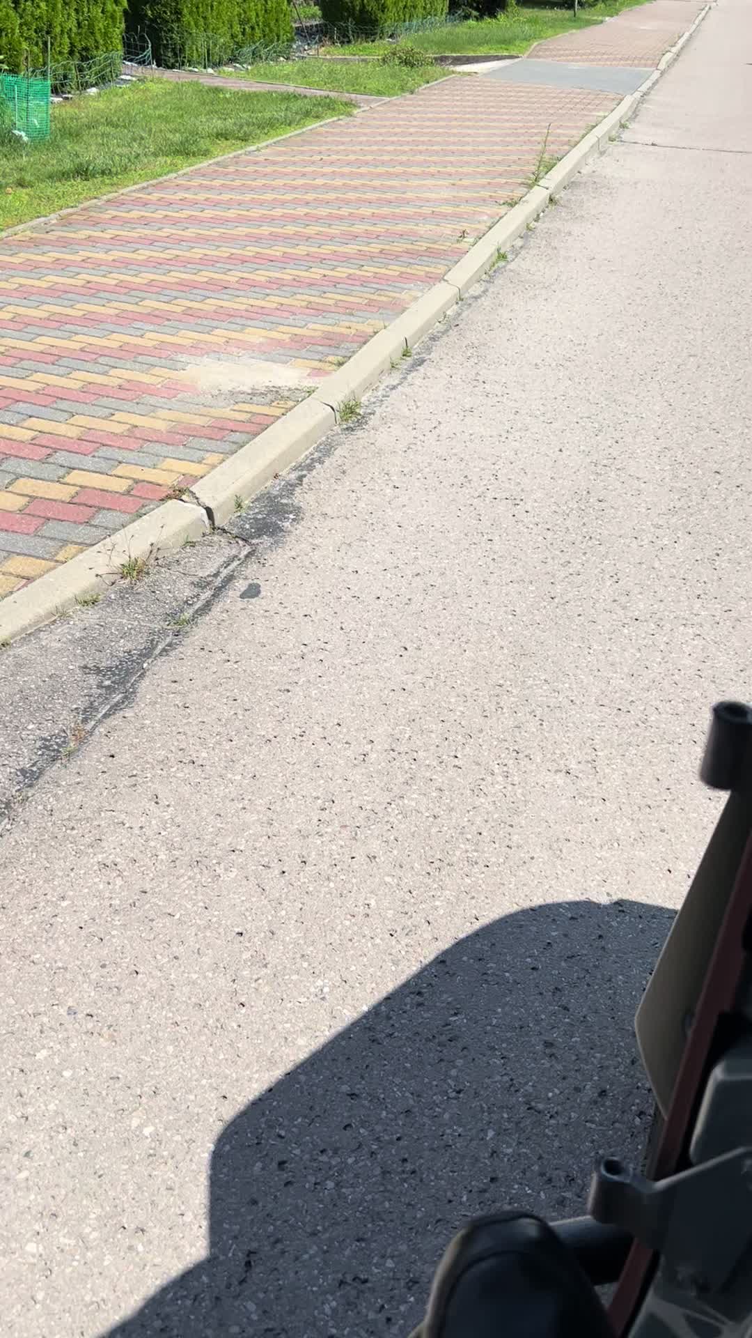 @mlodys_macko