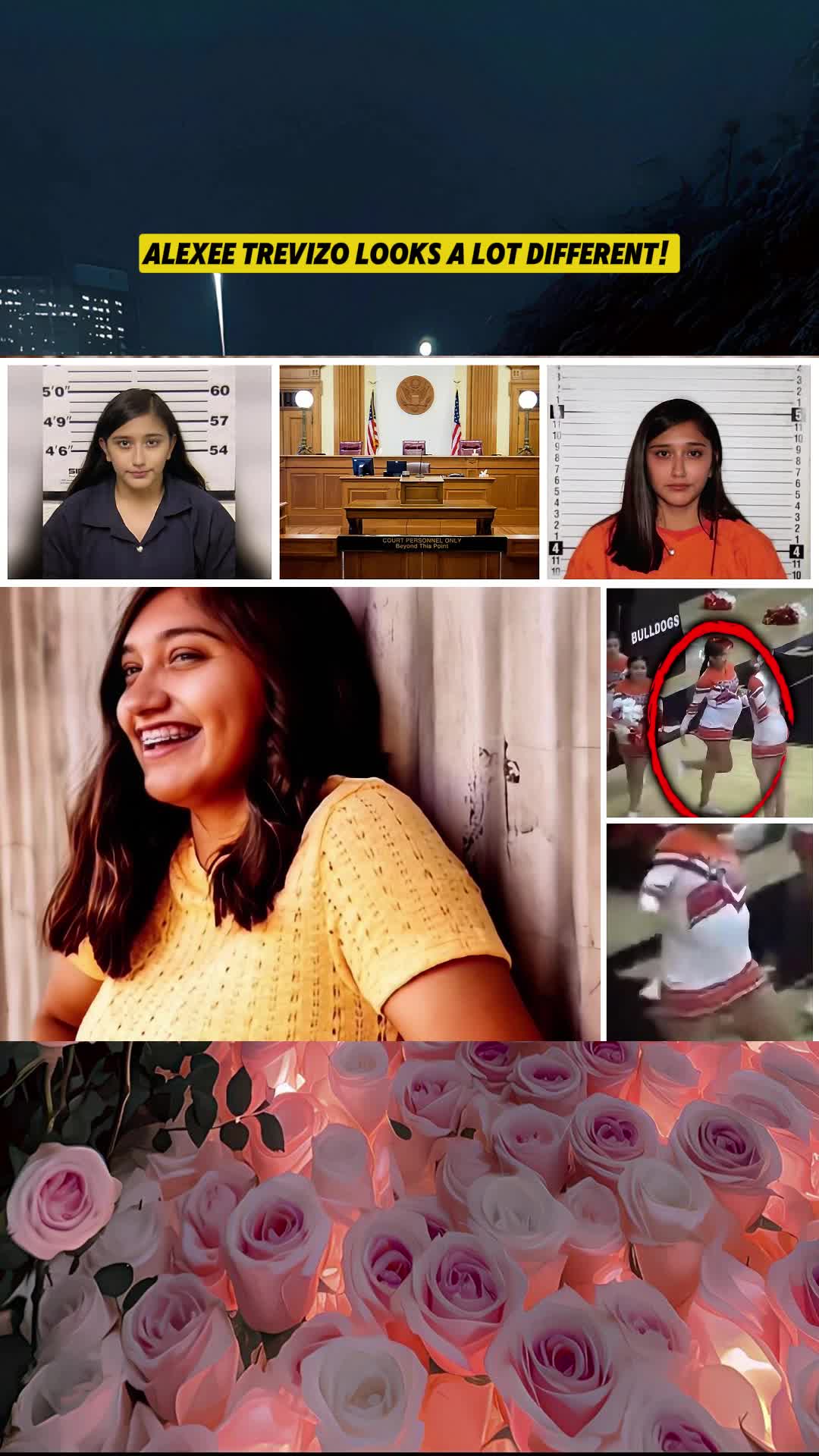 @user9627153938335