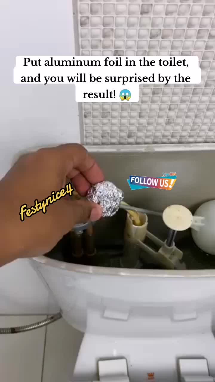 @festy