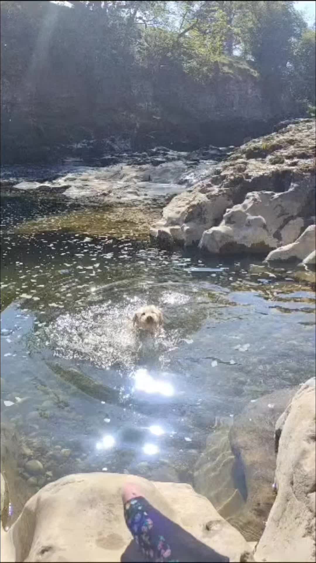 @PixiePup