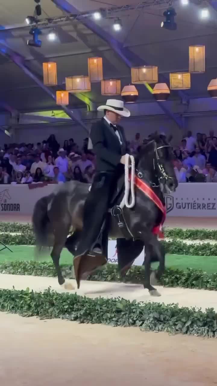 @Caballostrochadores