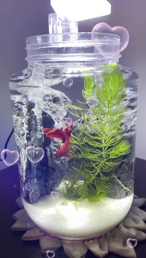 @goldenaquahub