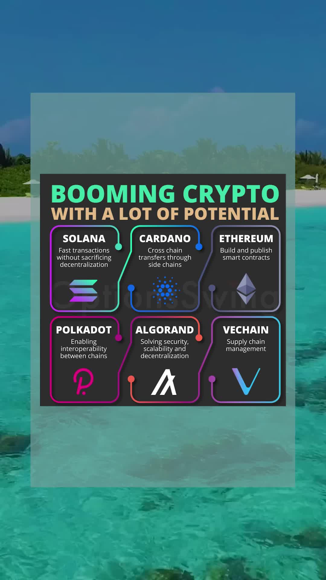 @Crypto Content📊