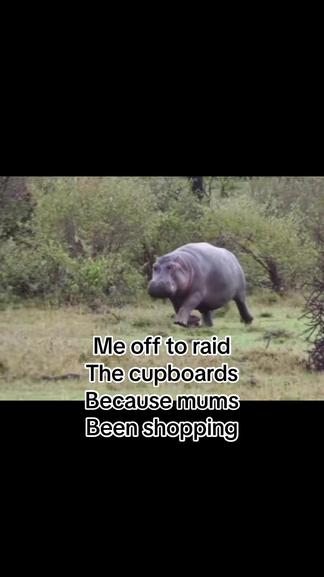 @BANTERBIBLE