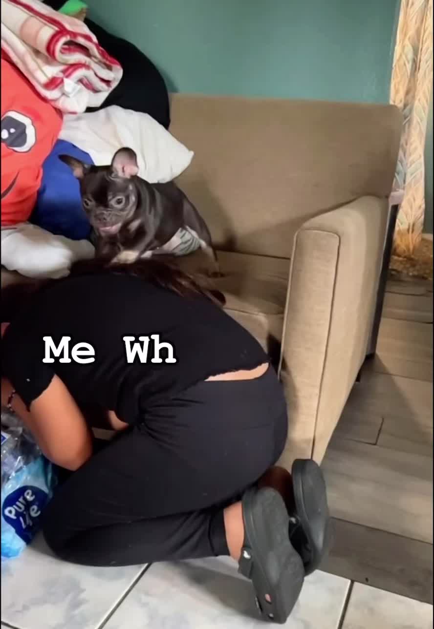 @Flatfacebullyz