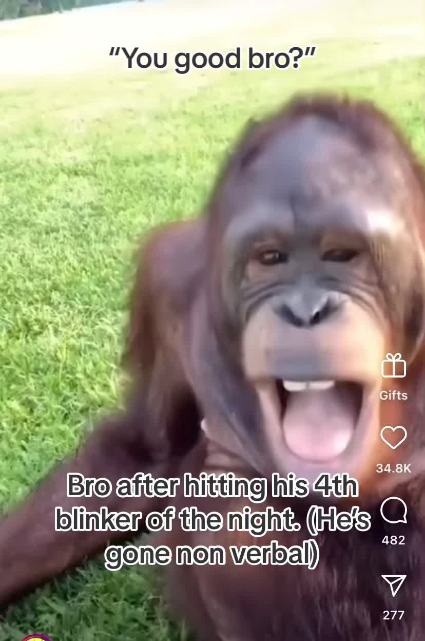 @Vlad