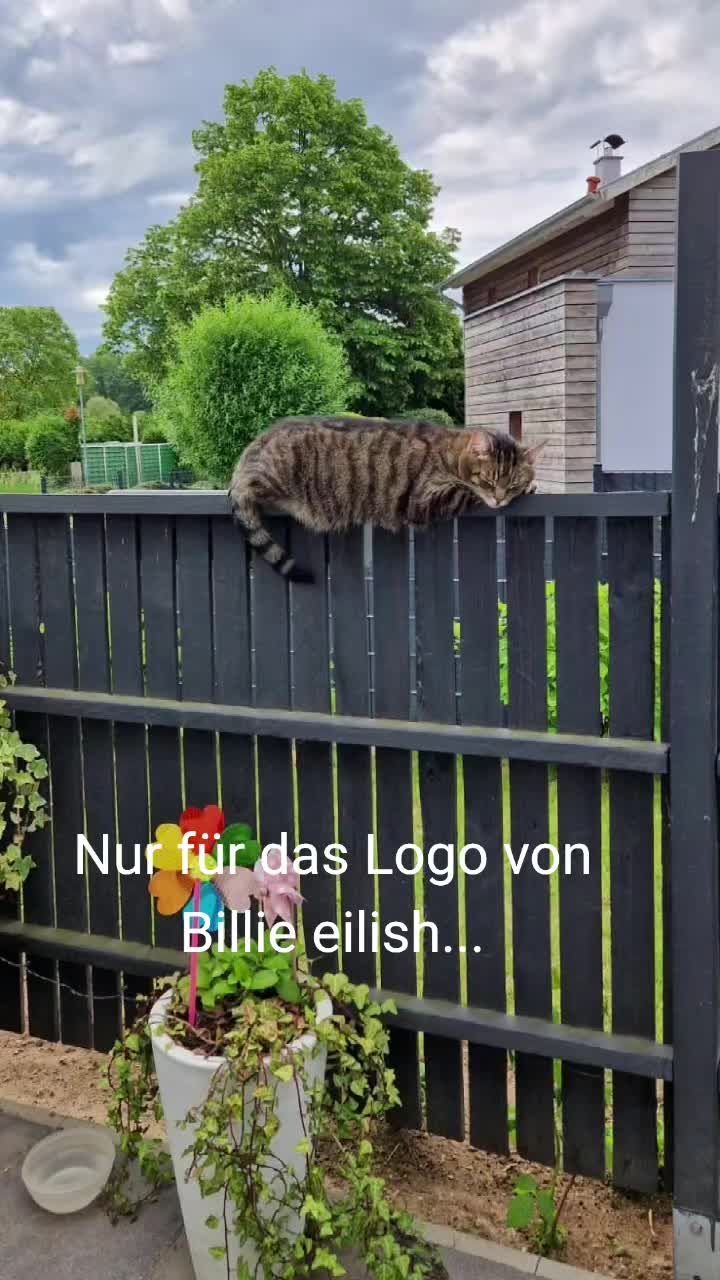 @Sarah.istlustig