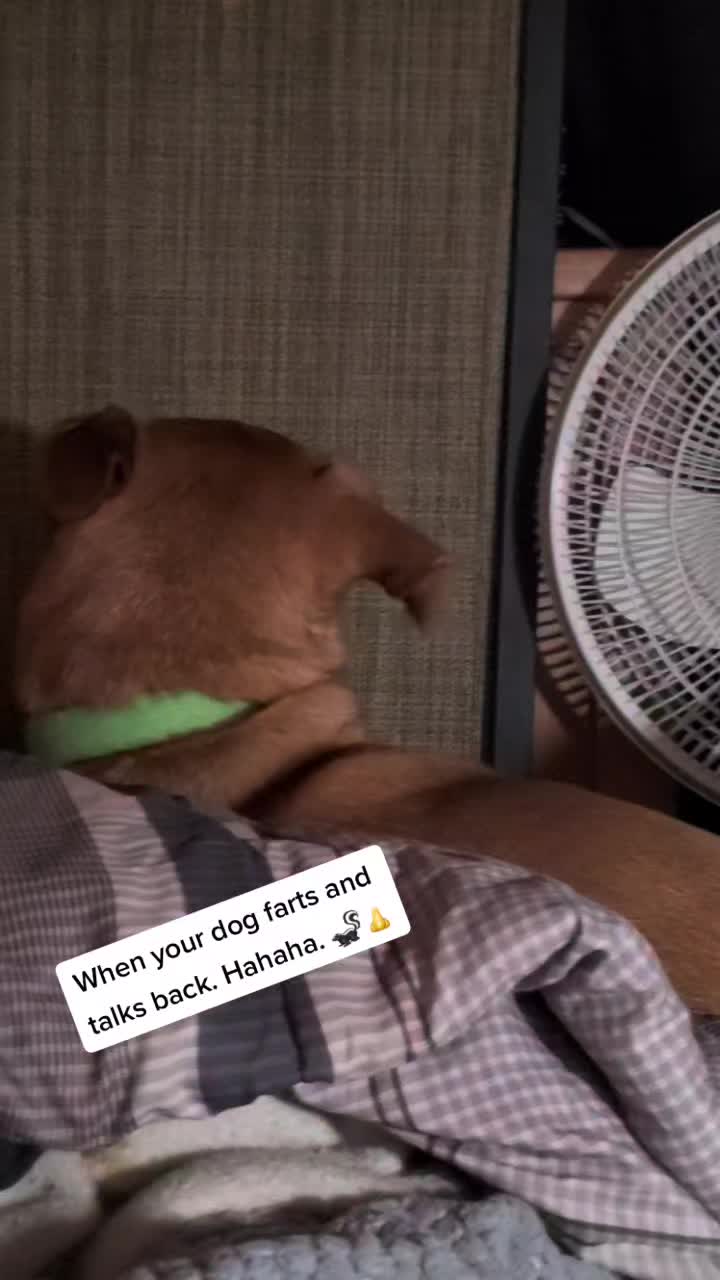 @PaMEla