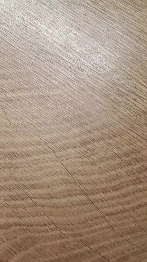 @dog_chip
