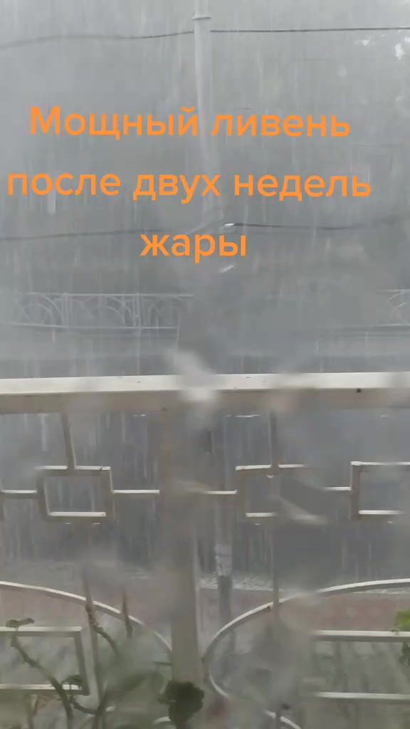 @𓂀 ᥴꪮꪮꪶꪶɀꪮ 𓂀