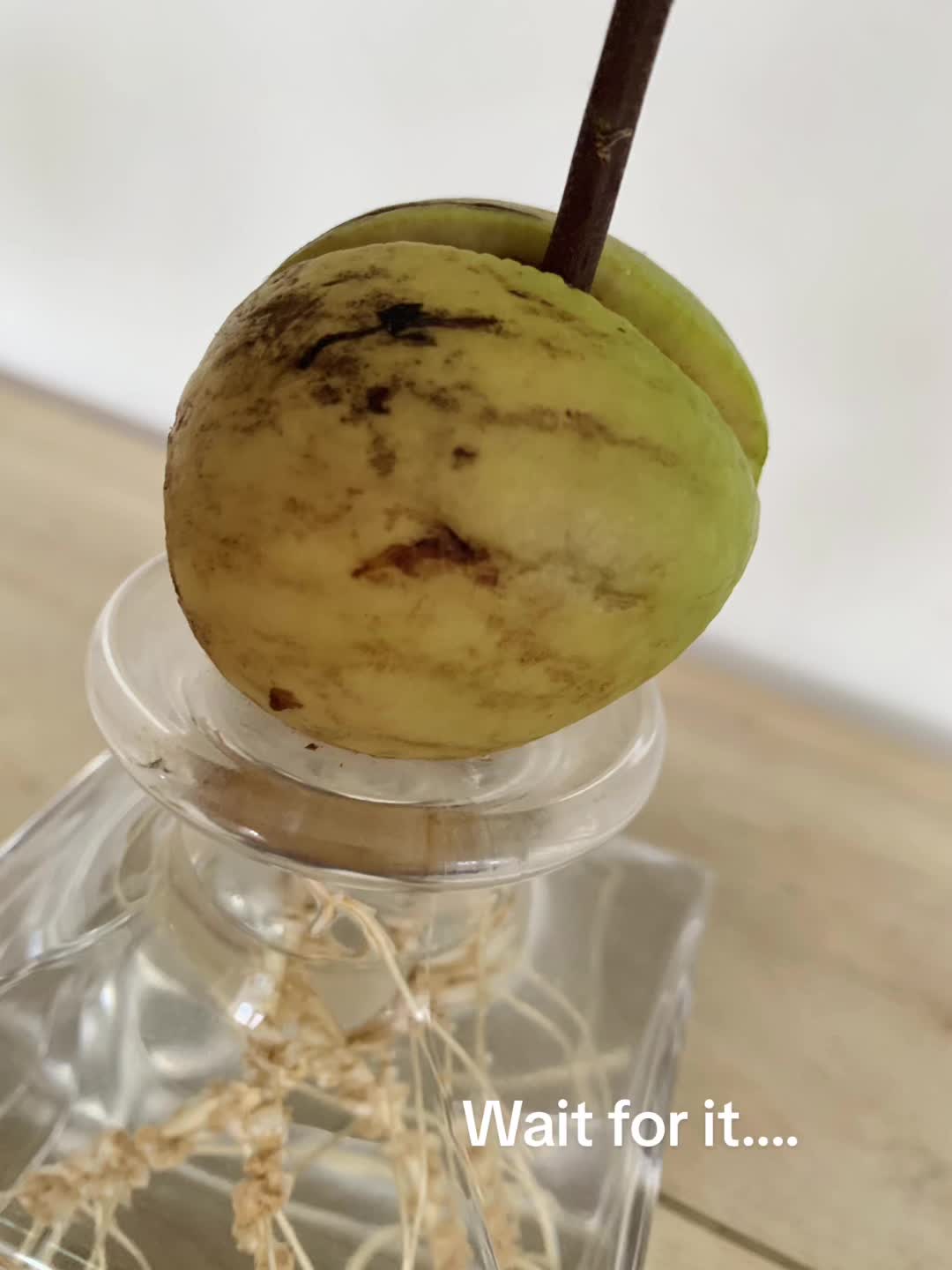 @Nutrimumof4