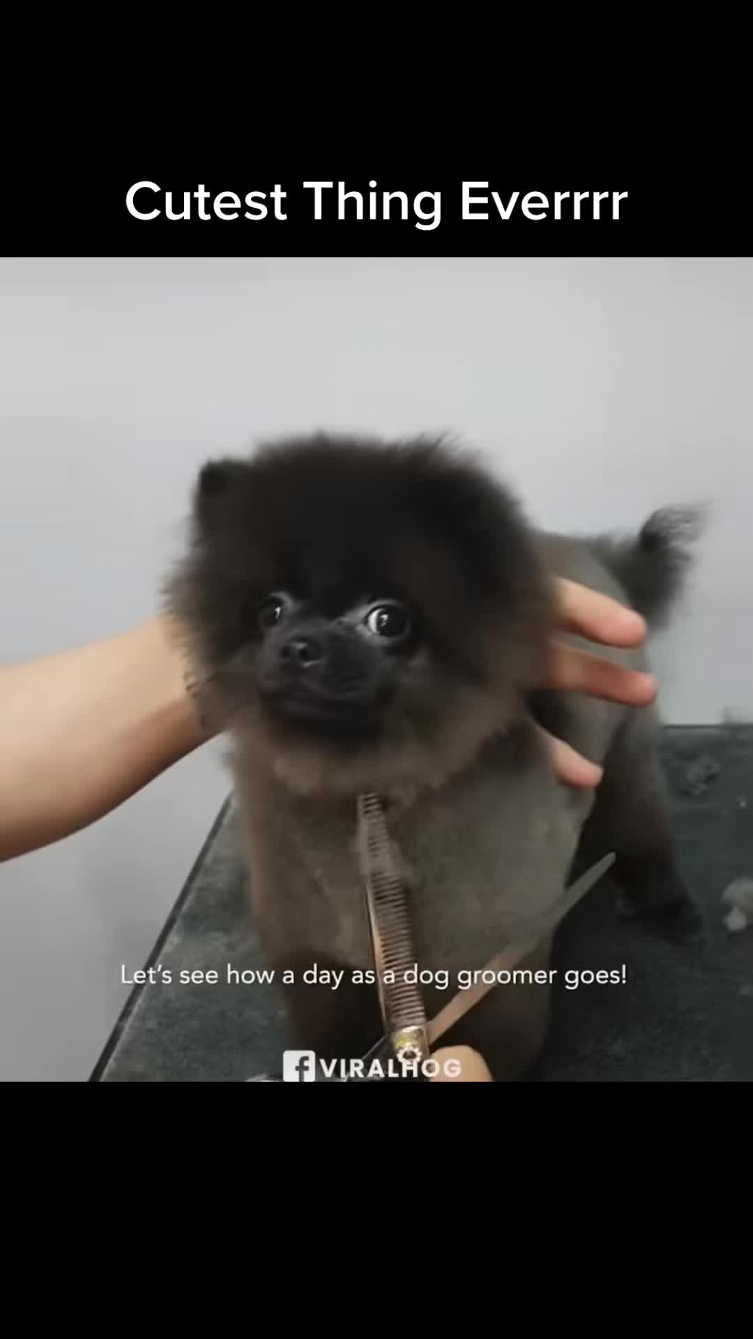 @Keylee Keylee